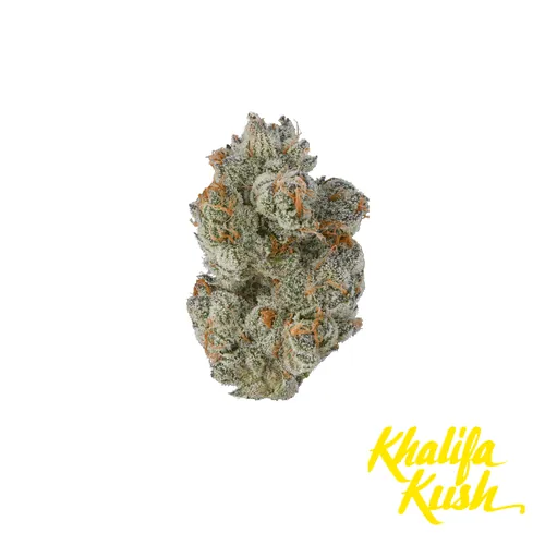 Point Breeze Flower by Khalifa Kush - 3.500g Whole