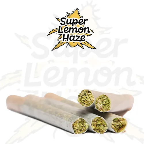 Super Lemon Haze Pre-Roll 5 Pack - 