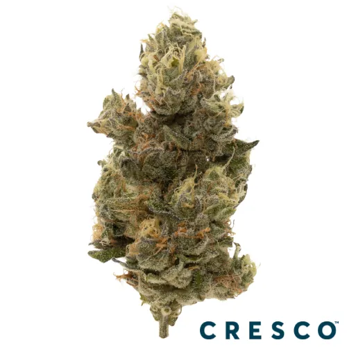 Cresco Premium Flower 3.5g - 91 GSC (H) from  product image
