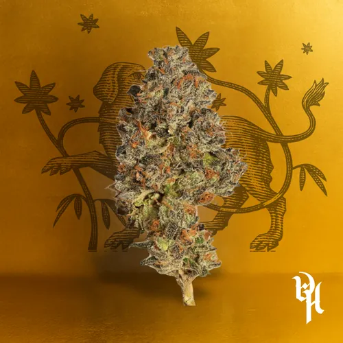 Gorilla Fett -  cannabis product