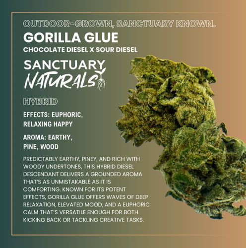 Gorilla Glue - 