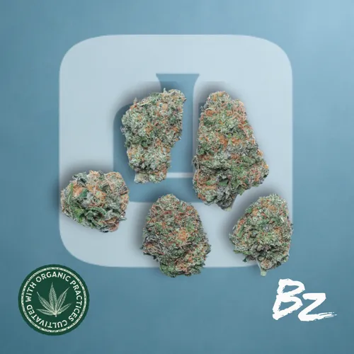 Gush Mints by Bz By Ideal - 3.500g Whole