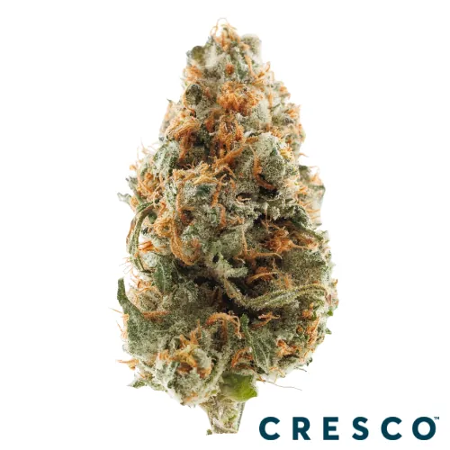 Strawberry Banana X Papaya - 