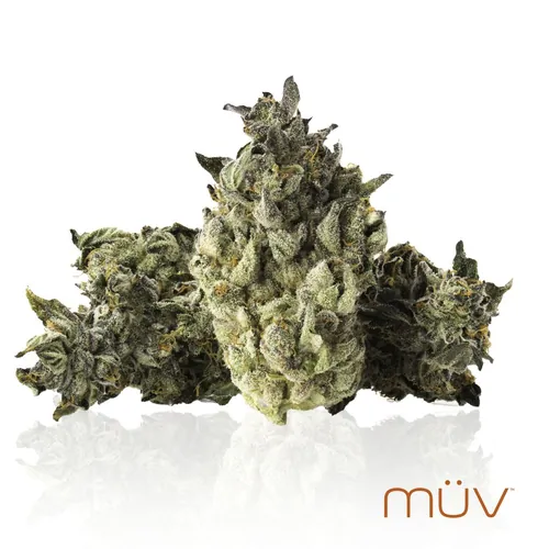 Vice City -  cannabis product