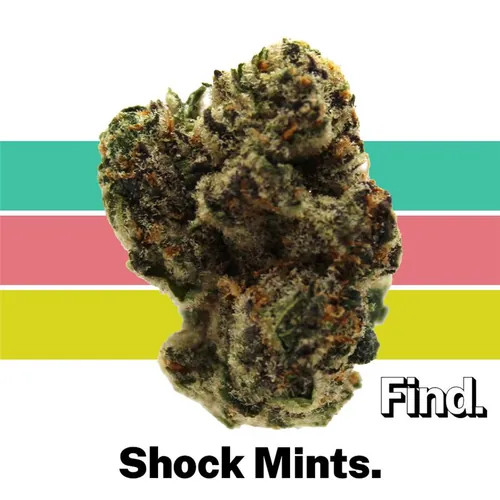 Shock Mints