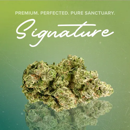 Blue Cheese Signature - 3.5g by Sanctuary Signature - 3.500g Unknown