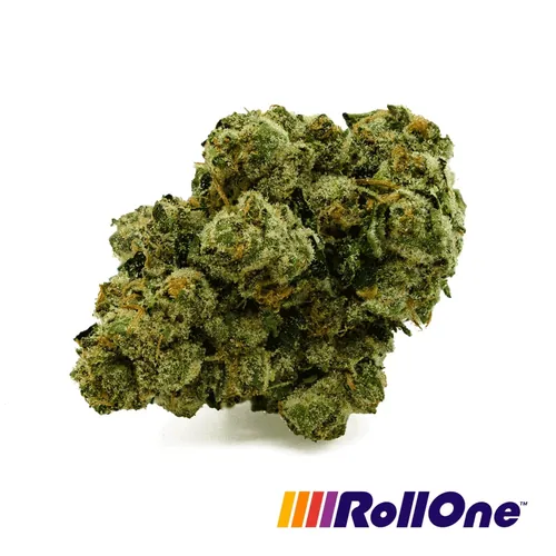 Panhandle Purps - 