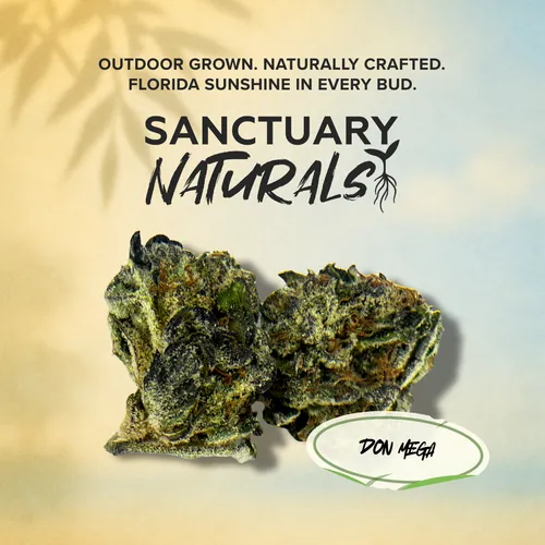 Don Mega Naturals - 3.5g by Sanctuary Medicinals - 3.500g Whole