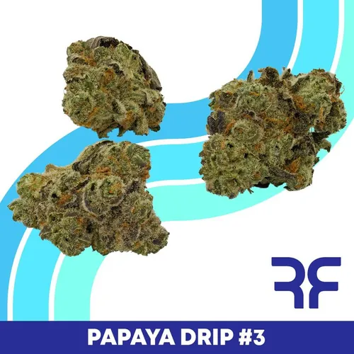 Papaya Drip 3 -  cannabis product