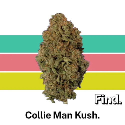 Collie Man Kush by Find. - 3.500g Whole