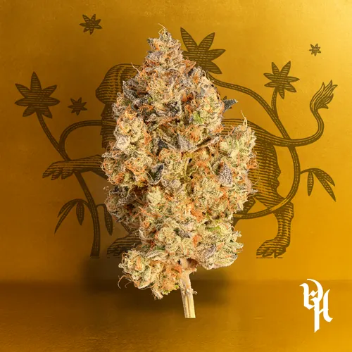 Chem 91 x Dosidos by Doghouse - 3.500g Whole