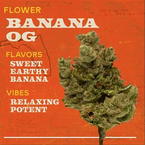 Banana OG 3.5g Flower Indica - 