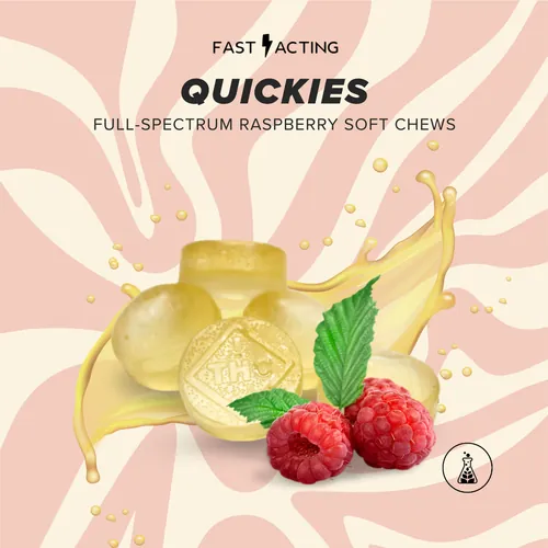 Full Spectrum 1:1 Strawberry Kiwi Soft Chews - 10 Pack | 100mg from  product image