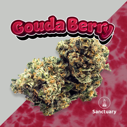 Gouda Bry - 