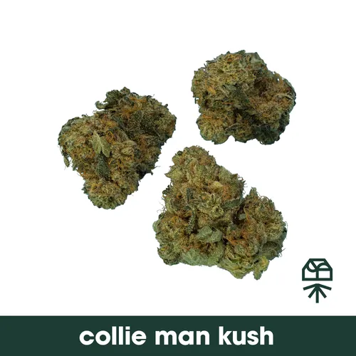 Collie Man Kush - 