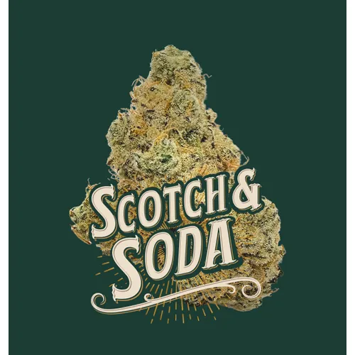 Scotch & Soda from  product image