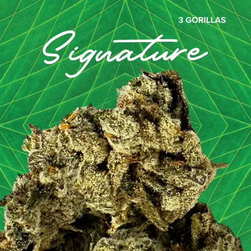 Signature Gorilla Glue - 