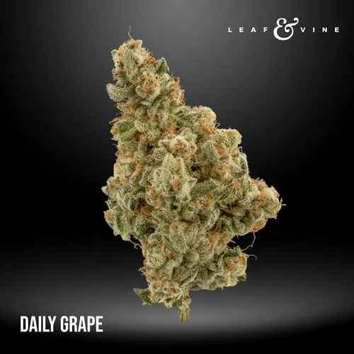 Daily Grape 3.5g Pouch by Planet 13 - 3.500g Whole
