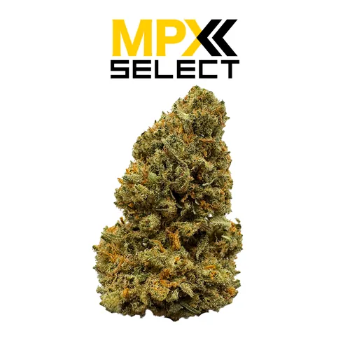 MPX Select™ Strawberry Haze Flower by MPX Select Flower - 3.500g Whole