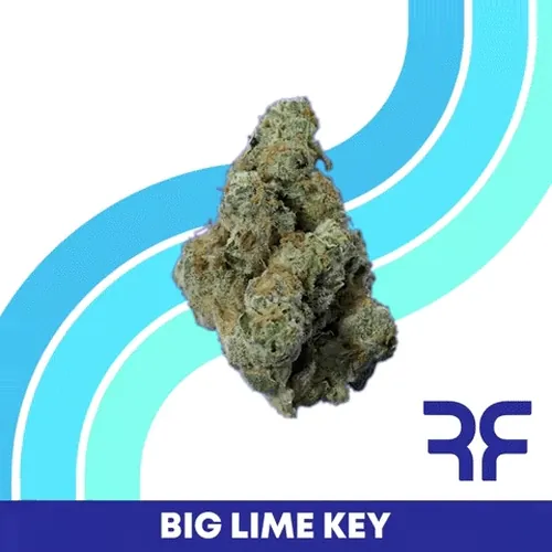 Big Lime Key by Reef - 3.500g Smalls