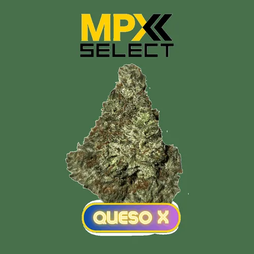 MPX Select Queso X Flower