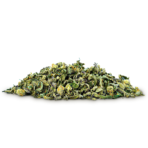 Supply Shake 14g - Caribbean Queen (H)