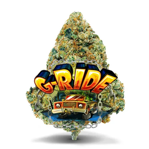 Ride - 