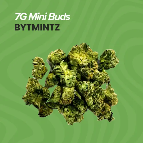 Buds Bytmintz - 