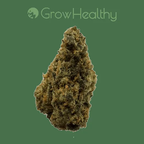 Aurora Lights -  cannabis product