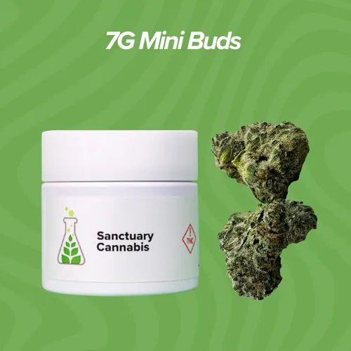 Blooberry Mini Buds - 7g from  product image
