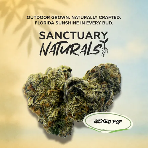 image of Gastro Pop | Sanctuary Naturals