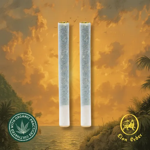 Island Sunshine by Lion Order - 1.000g PreRoll