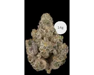710 Labs 14g Flower - Payton's Pie #2 - 