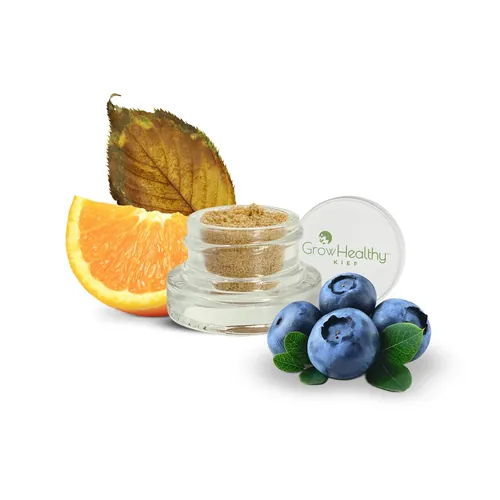 Toucan Diesel Kief™ by GrowHealthy - 1.000g Kief