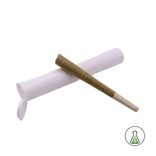 1G  Pr - Ginger Tea - 