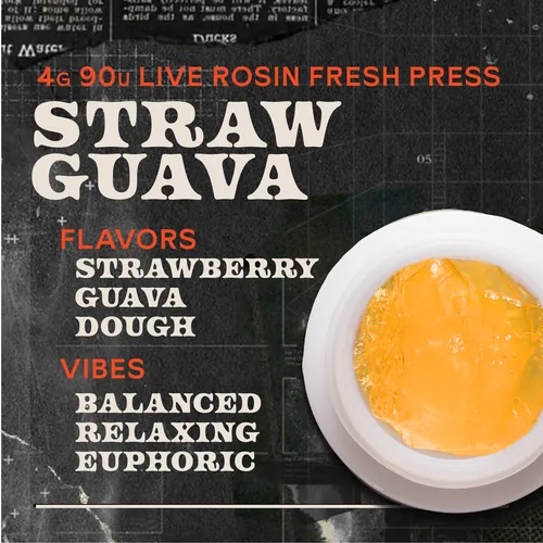 Strawguava Fresh Press - 4g Live Rosin Concentrate by Sunburn - 4.000g Live Rosin