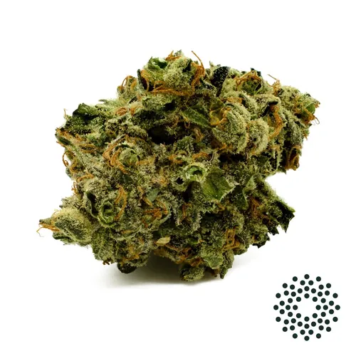 Sour Amazon - Whole Flower 3.5G by Trulieve - 3.500g Whole