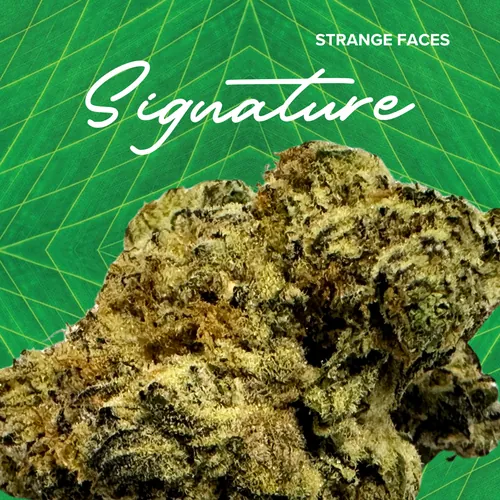 {'strain': 'Signature  Strange Faces', 'strain_type': 'Unknown', 'company': 'Sanctuary', 'brand': 'Sanctuary Cannabis', 'price': Decimal('44.86'), 'regular_price': Decimal('44.86'), 'thc': Decimal('26.80'), 'cbd': Decimal('0.00'), 'terps': Decimal('0.00'), 'grams': Decimal('3.500'), 'dollars_per_thcg': Decimal('47.830'), 'dollars_per_g': Decimal('12.820'), 'product_format': 'Flower', 'product_sub_format': 'Smalls', 'dispensary_cities': ['Jupiter'], 'main_url': 'https://www.sanctuarymed.com/near-me/florida-cannabis-dispensary/jupiter-fl-cannabis-dispensary?dtche%5Bproduct%5D=signature-3-5g-strange-faces', 'display_image_url': 'https://thchunter-images.s3.us-east-2.amazonaws.com/product_images/768f2515-0b6c-4816-ac0d-d1d6267984e3.webp', 'id': 12335976, 'company_logo_file': 'Sanctuary.jpg', 'company__premium_company': False, 'company__name': 'Sanctuary'}