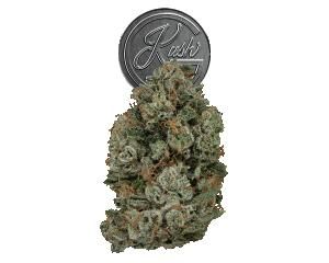 Josh D 3.5g Flower - OG Kush Story: Josh D OG - 