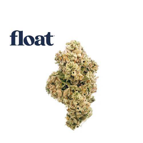 Animal Larry from  product image