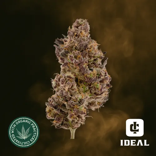 Hash Burger from  product image