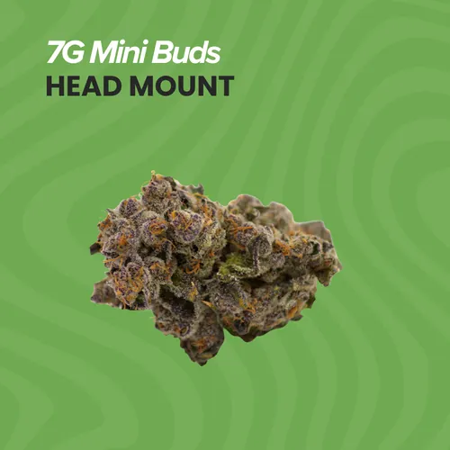 7g Mini Buds Head Mount