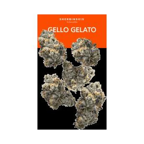 image of Gello Gelato #43 7g Juniors