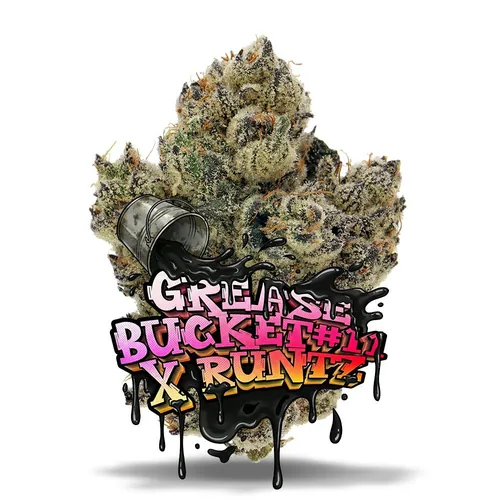 Grease Bucket #11 x Runtz - Premium by Jungle Boys - 3.500g Whole