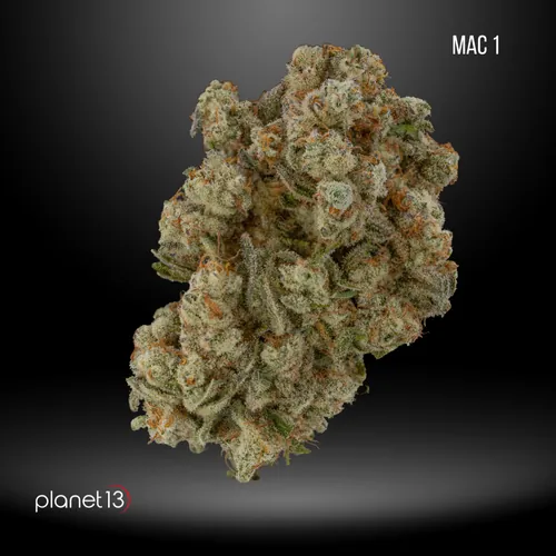 Mac 1 Tier 3 by Planet 13 - 3.500g Whole