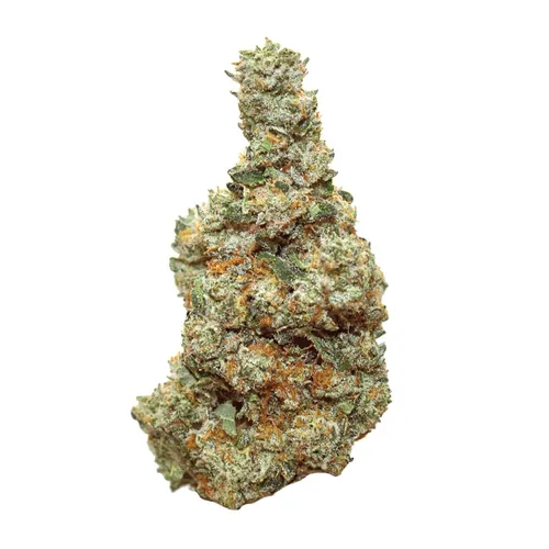 GLTR Bomb Pre-Ground from  product image