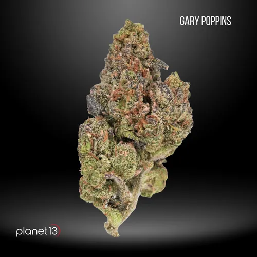 Gary Poppins -  cannabis product
