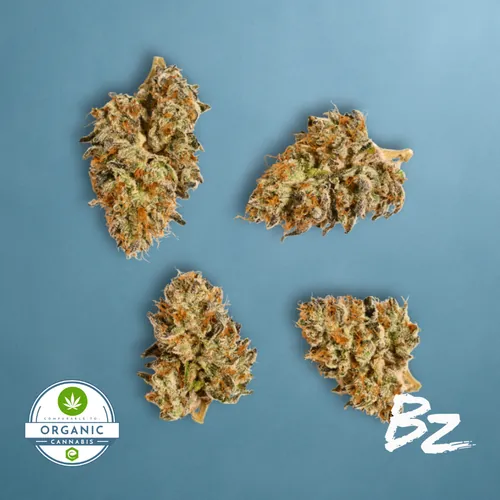 Emerald Apricot x Double Banana Fuel #45