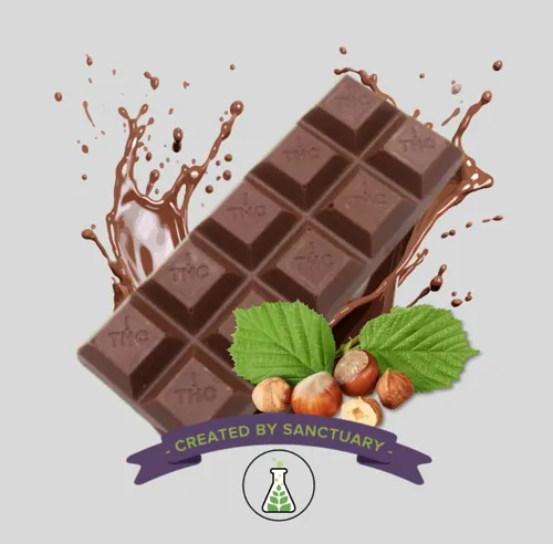 Hazelnut Milk Chocolate Bar 100mg 10pk - 