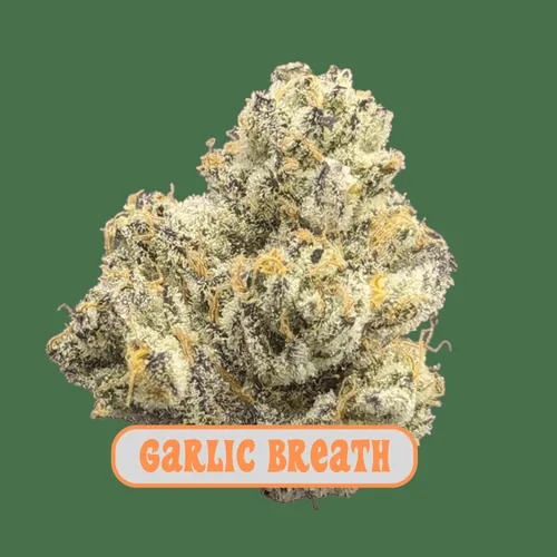 MPX Garlic Breath Flower - 